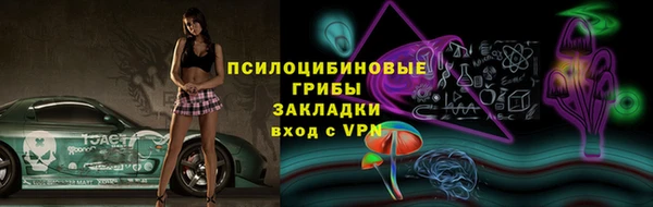 прущие грибы Балахна