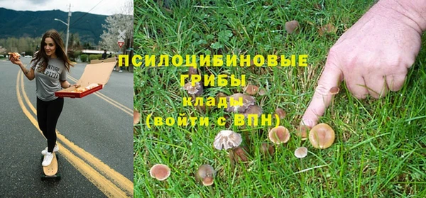 прущие грибы Балахна
