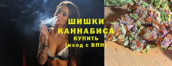 прущие грибы Балахна