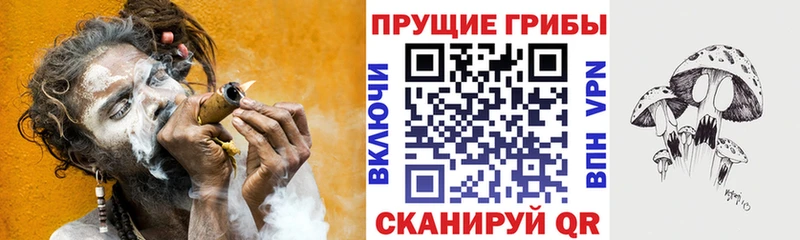 Псилоцибиновые грибы GOLDEN TEACHER сайты даркнета телеграм Борзя